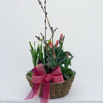 Assorted Bulb Plant Basket