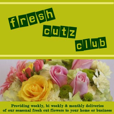 Fresh Cutz Club